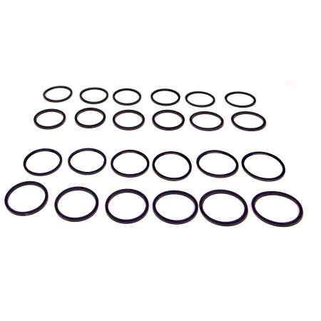 27P CPR365 01 / V-MAXX   Zuiger+Stof - ringen set t.b.v. 365mm Remklauwen (VM05/06)